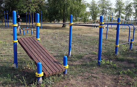 Комплекс для занятий Воркаут В345